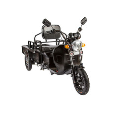 Rutrike D1 1200 60V900W