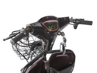 Электротрицикл Rutrike Вагон
