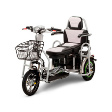 Transporter 600W 48V