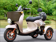 Электротрицикл VESPA NEW 48V 20AH 800W