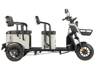 Электротрицикл Wanshida LC300 60V 1000Вт (черный)